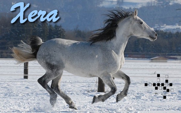 Xera