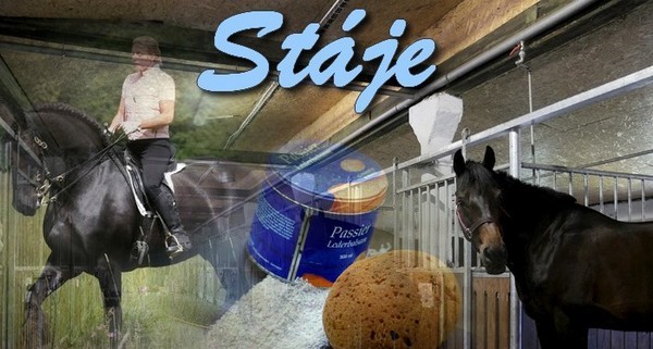 staj2