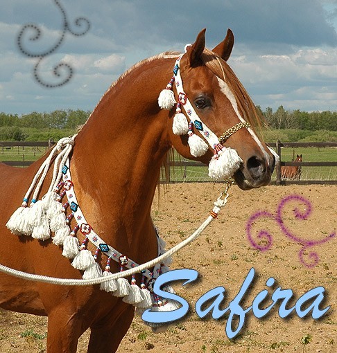 Safira-1