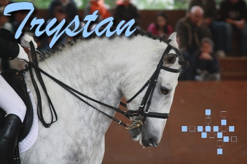 trystan