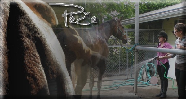 Pe
