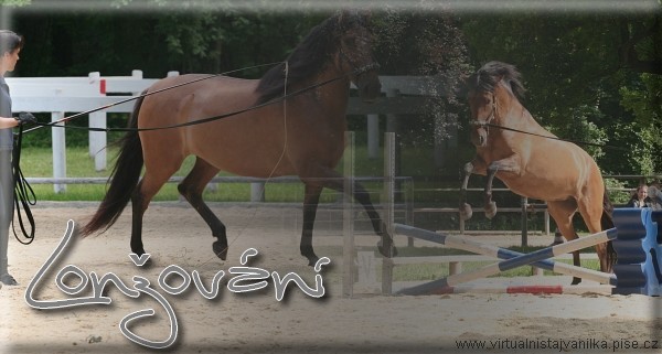 Lonovn