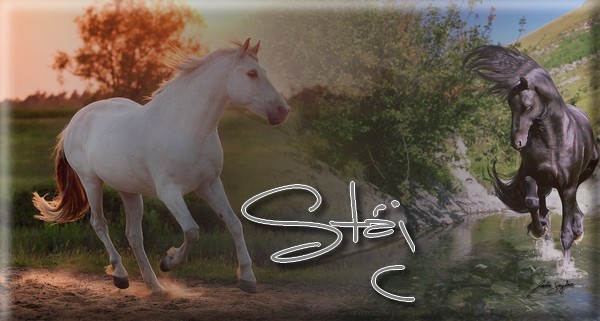 stje