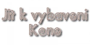 vybaven kon