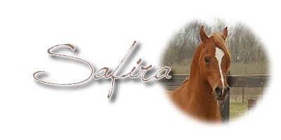Safira2