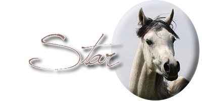 Star2