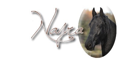Najra2