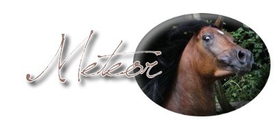 Meteor2
