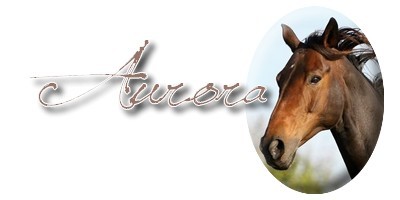 Aurora2