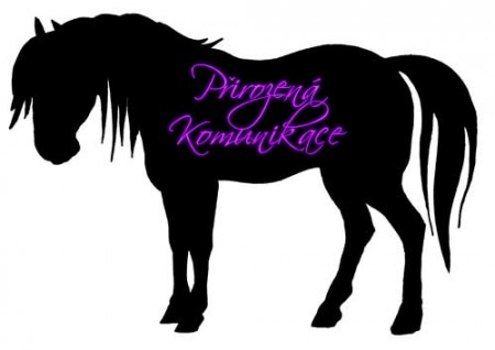 pirozen komunikace