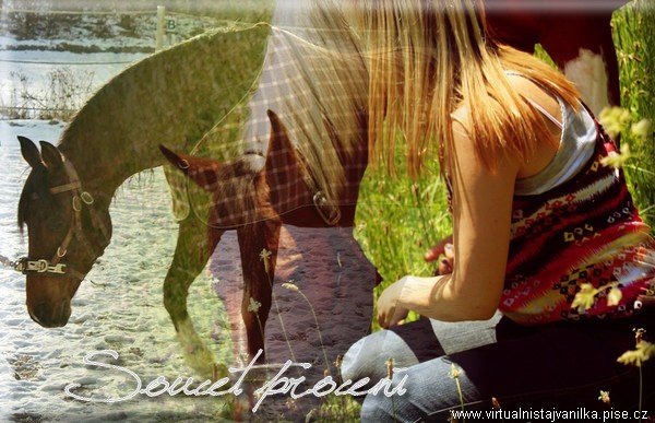 Souet procent
